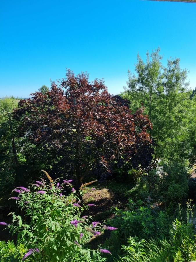 Location saisonnière appartement situé à Saumur Esterno foto