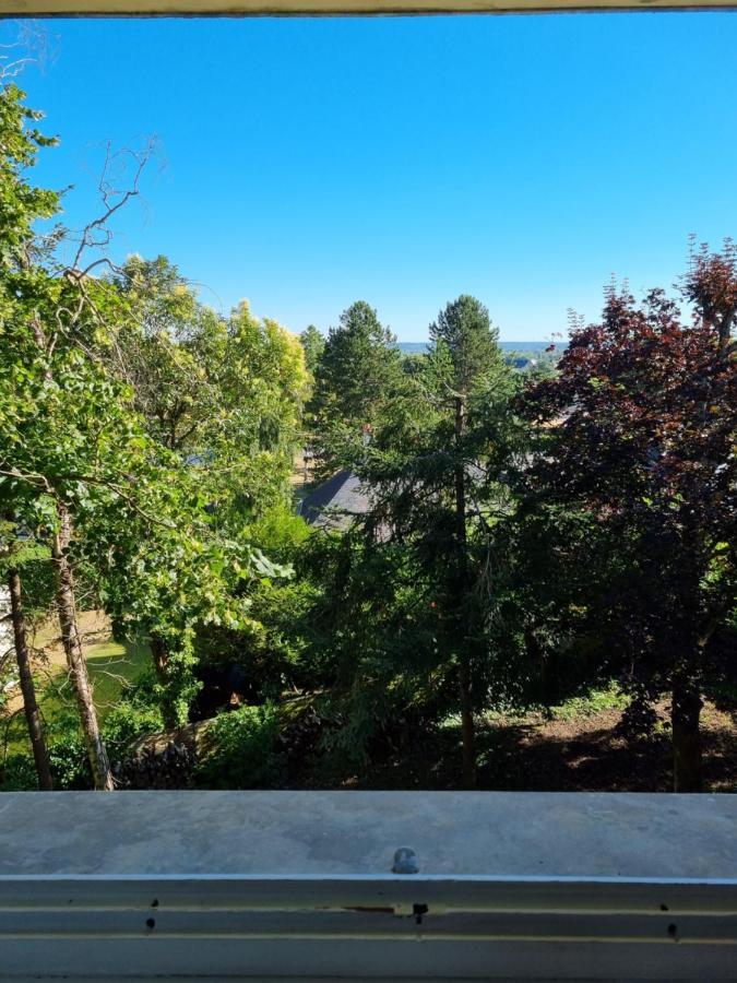 Location saisonnière appartement situé à Saumur Esterno foto